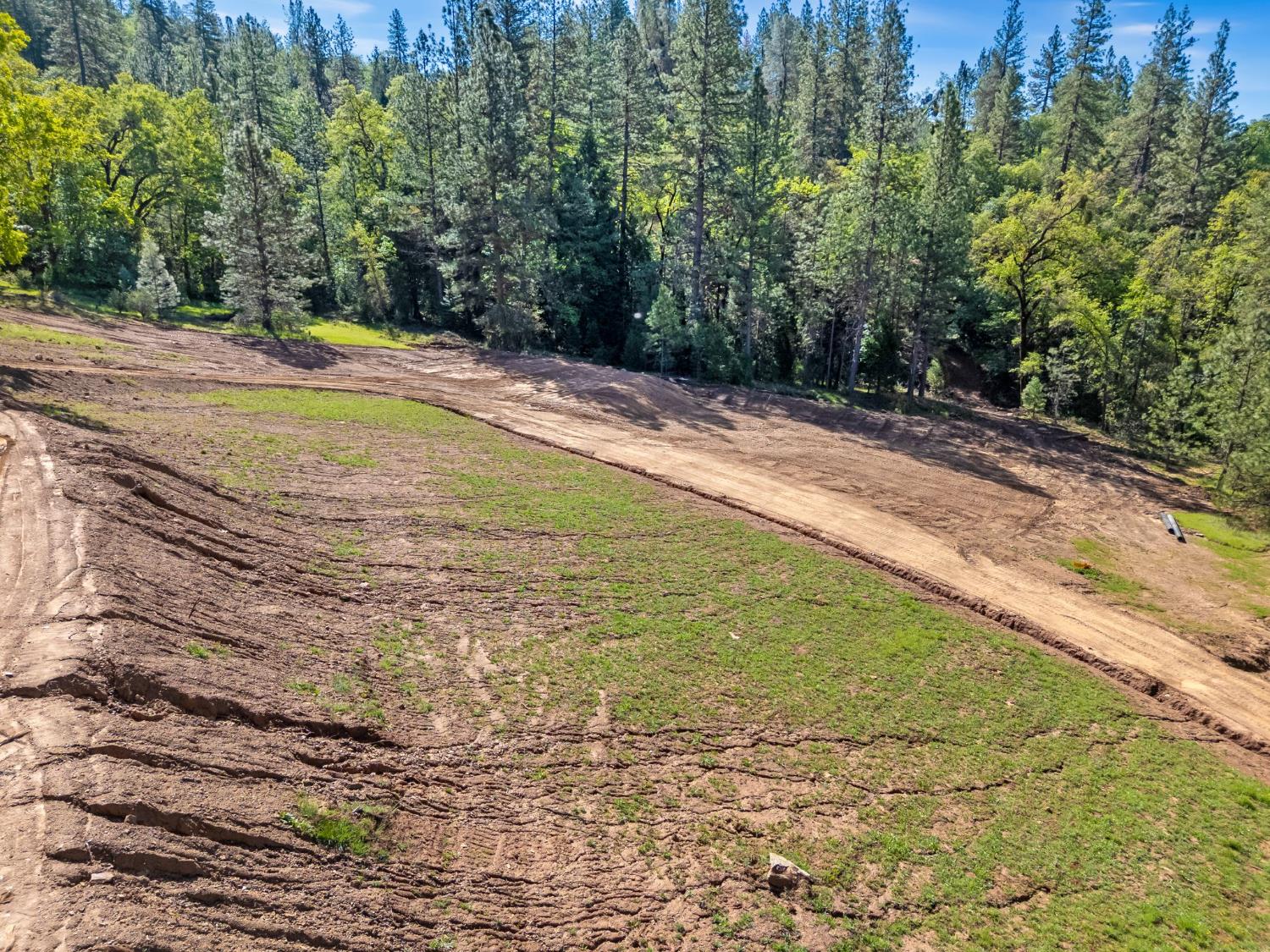 0 Northern Lights Road Placerville, CA 95667 - Photo 16 of 25 a view of a yard with an trees