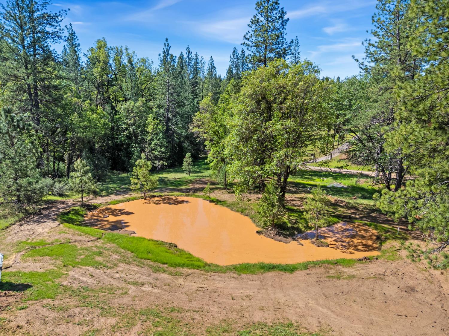 0 Northern Lights Road Placerville, CA 95667 - Photo 17 of 25 a view of a yard with plants and a trees