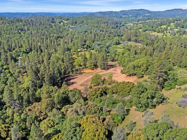 a view of a lush green field with lots of bushes