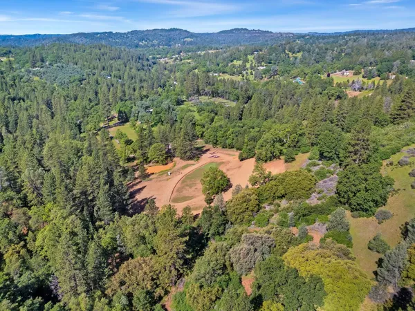 a view of a lush green forest with trees and houses
