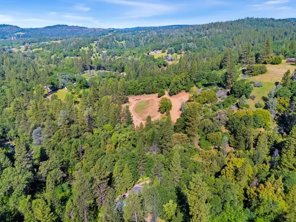 a view of a lush green forest with lush green forest