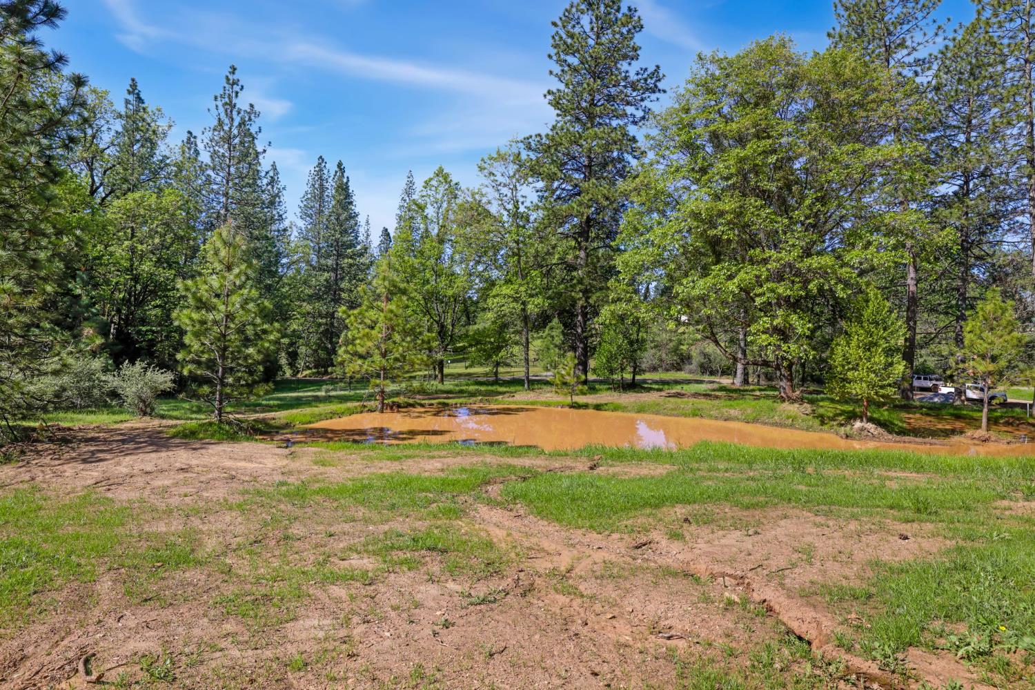 0 Northern Lights Road Placerville, CA 95667 - Photo 6 of 25 a view of a swimming pool with a yard