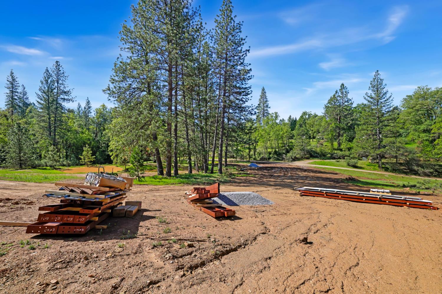 0 Northern Lights Road Placerville, CA 95667 - Photo 9 of 25 a view of a park with large trees