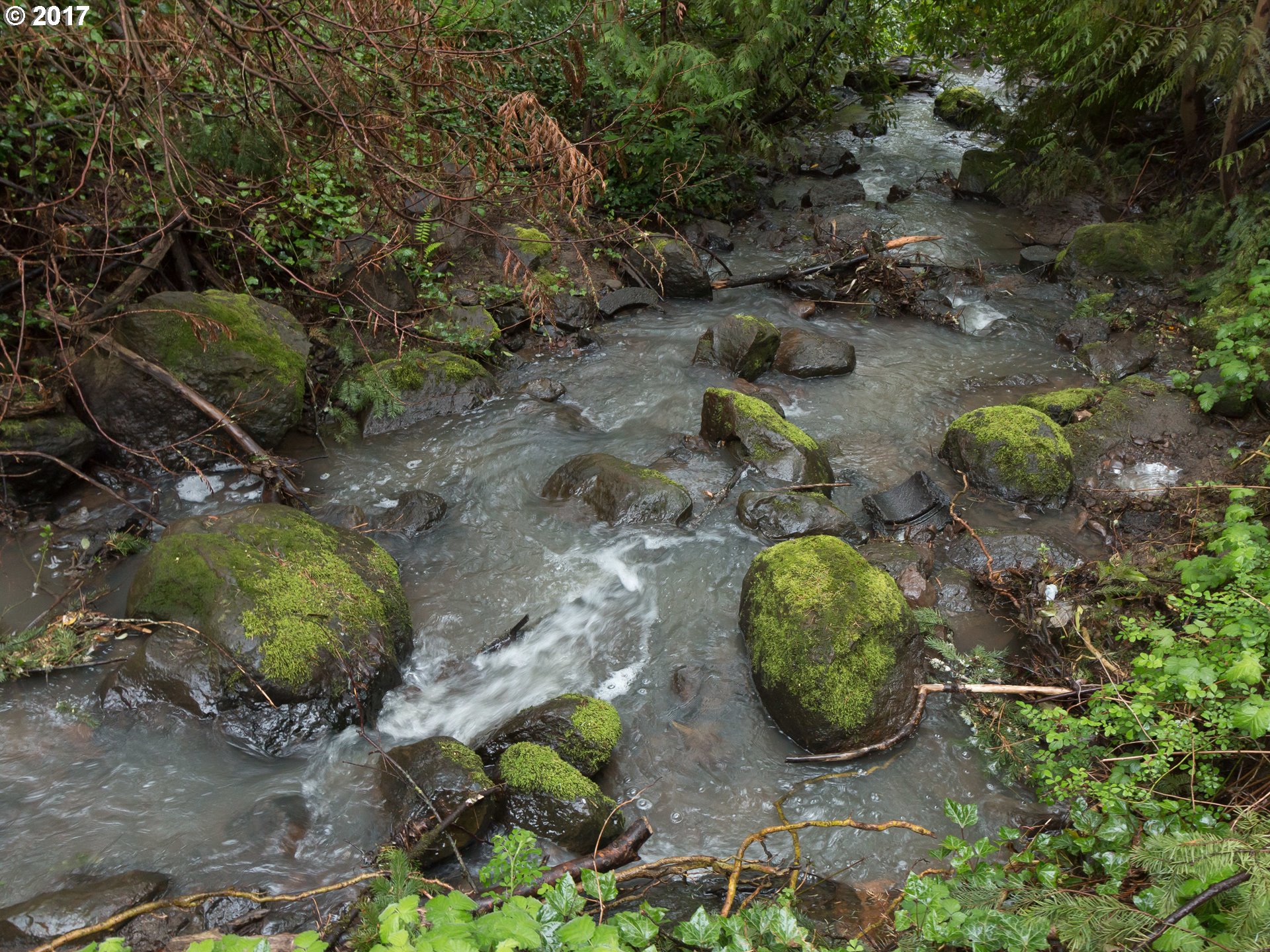9590 Southwest Washington Street Portland, OR 97225 - Photo 26 of 30 Creek