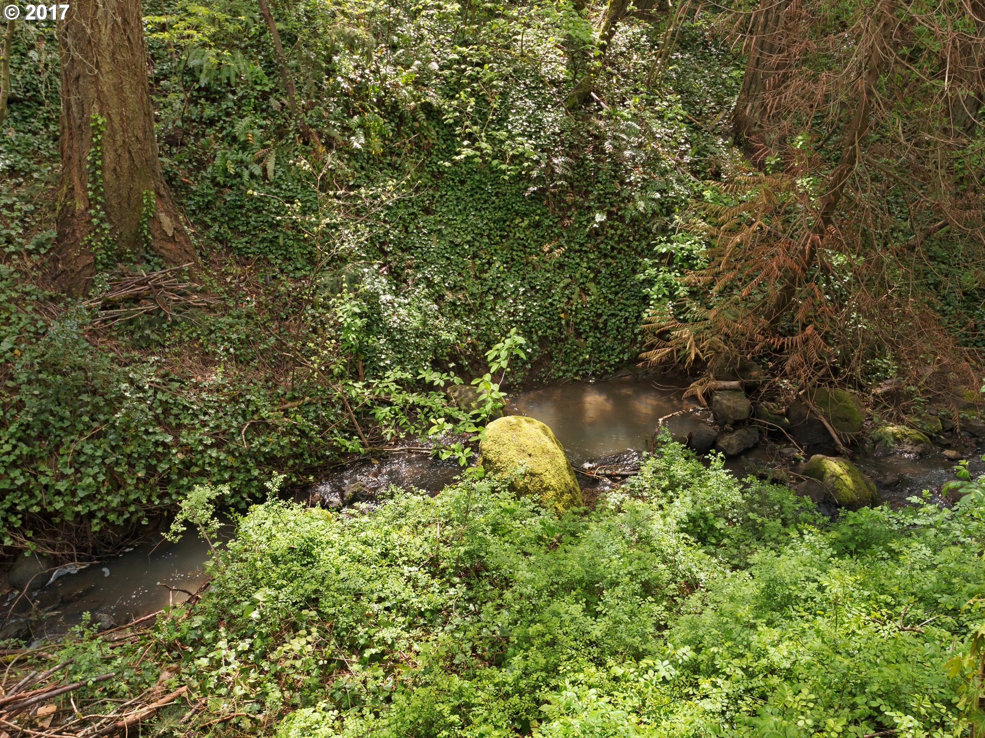 9590 Southwest Washington Street Portland, OR 97225 - Photo 27 of 30 Creek