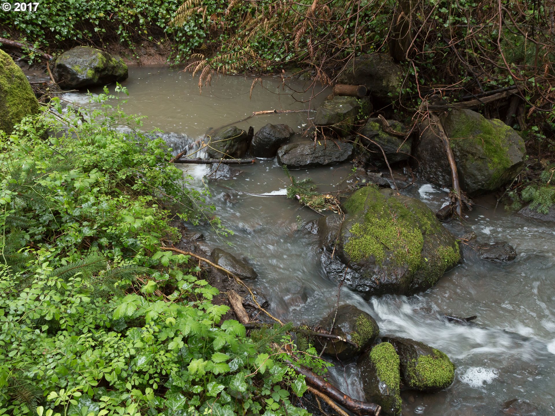 9590 Southwest Washington Street Portland, OR 97225 - Photo 28 of 30 Creek