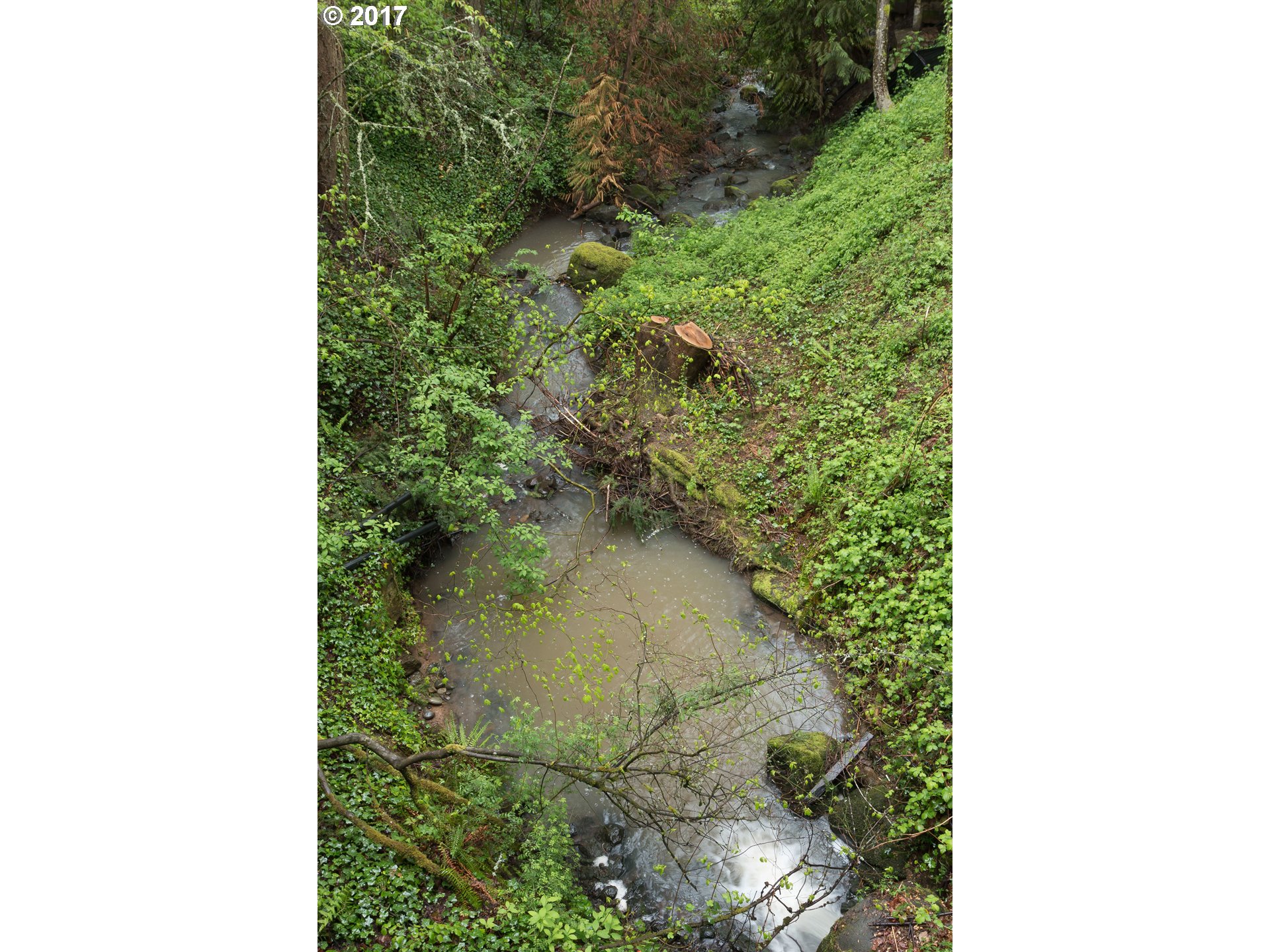 9590 Southwest Washington Street Portland, OR 97225 - Photo 29 of 30 Creek