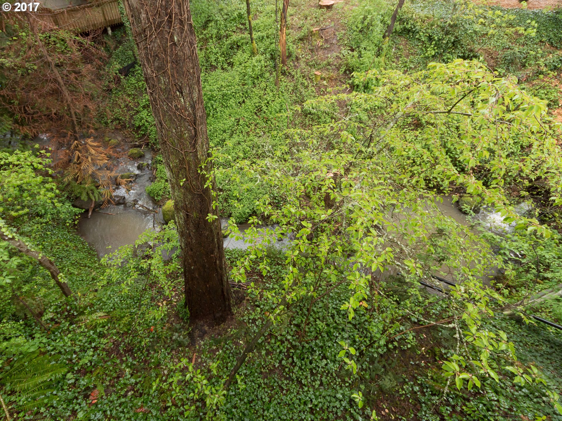 9590 Southwest Washington Street Portland, OR 97225 - Photo 30 of 30 Creek