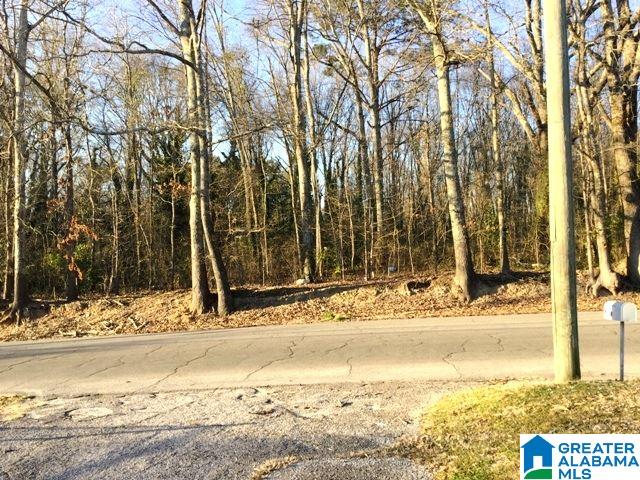 320 Blue Mountain Road Anniston, AL 36201 - Photo 36 of 36