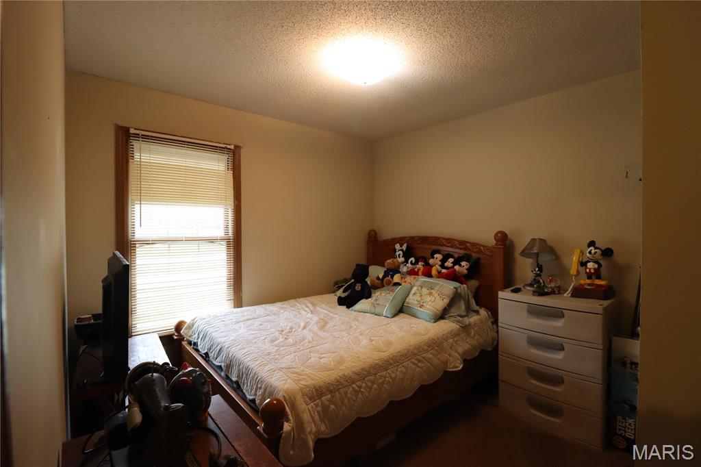 102 South Locust Street Greenville, IL 62246 - Photo 7 of 9