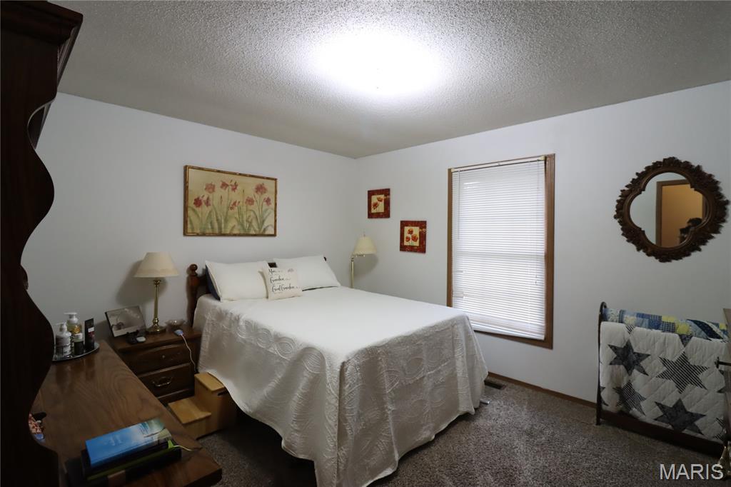 102 South Locust Street Greenville, IL 62246 - Photo 8 of 9