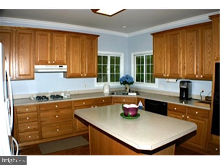 16 Forest Ridge Road Newark, DE 19711 - Photo 14 of 21 Kitchen