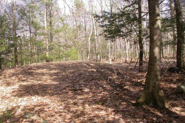 1335 Kroucher Road Stroudsburg, PA 18360 - Photo 9 of 11 Land