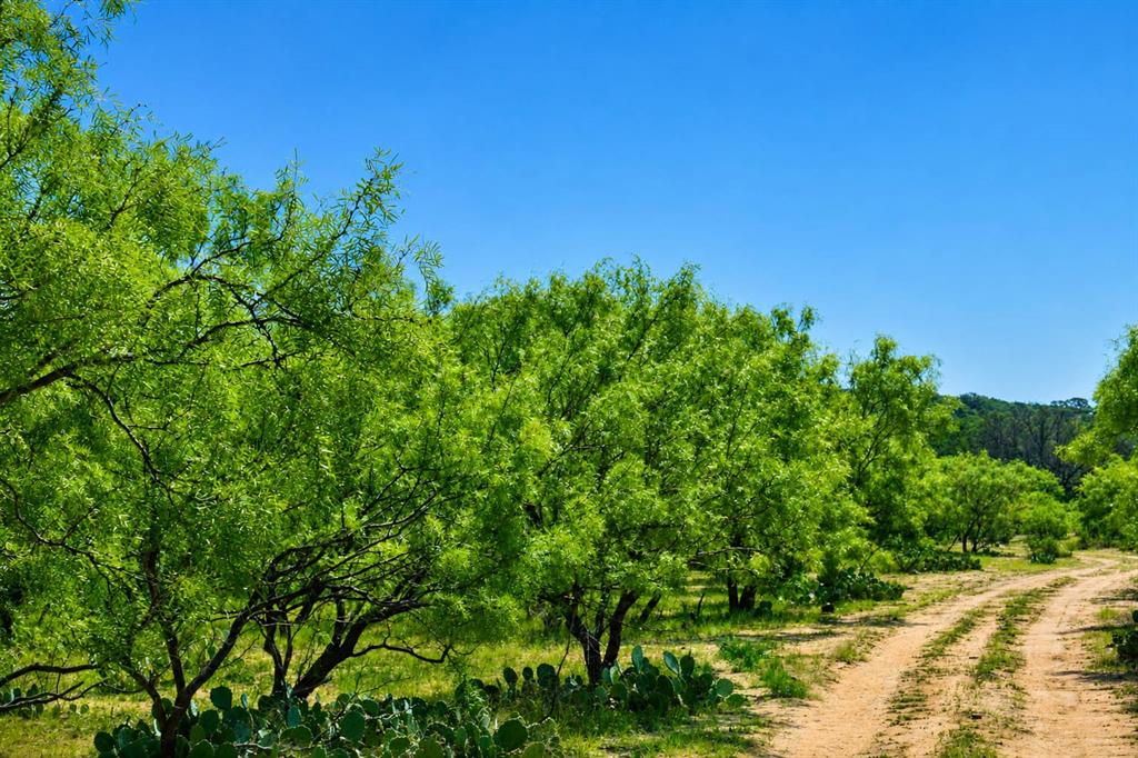 8228 Us Highway Rochelle, TX 76872 - Photo 24 of 36 a view of a garden
