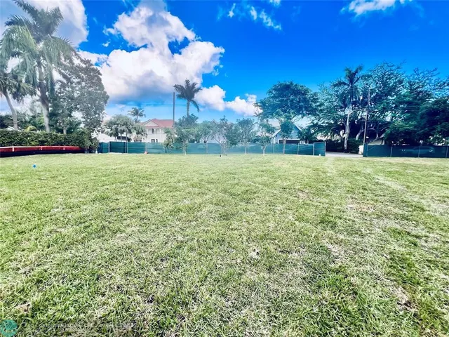 a view of a field with a tree in the background