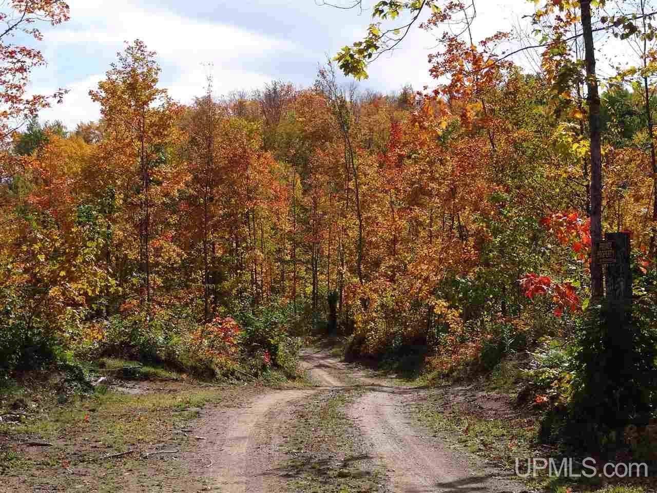Tbd Winona Road Toivola, MI 49965 - Photo 21 of 23 Gallery Image 21