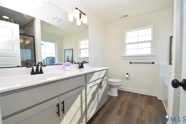 a bathroom with a double vanity sink toilet and a mirror