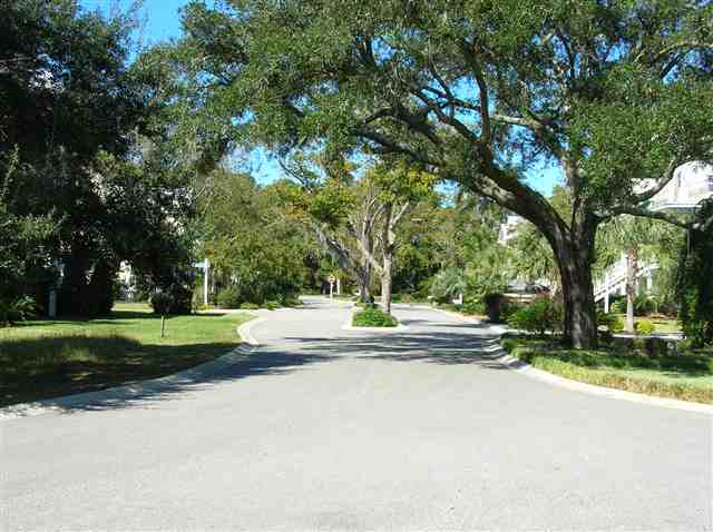 Lot 8 Saltwater Way Murrells Inlet, SC 29576 - Photo 6 of 10 Gallery Image 6