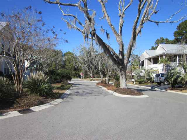 Lot 8 Saltwater Way Murrells Inlet, SC 29576 - Photo 9 of 10 Gallery Image 9