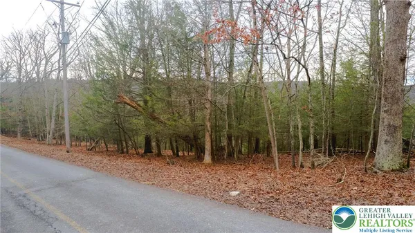 a view of outdoor space with trees