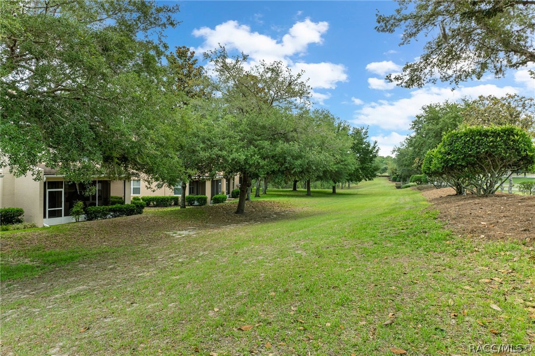 1646 West Spring Meadow Loop Lecanto, FL 34461 - Photo 29 of 47