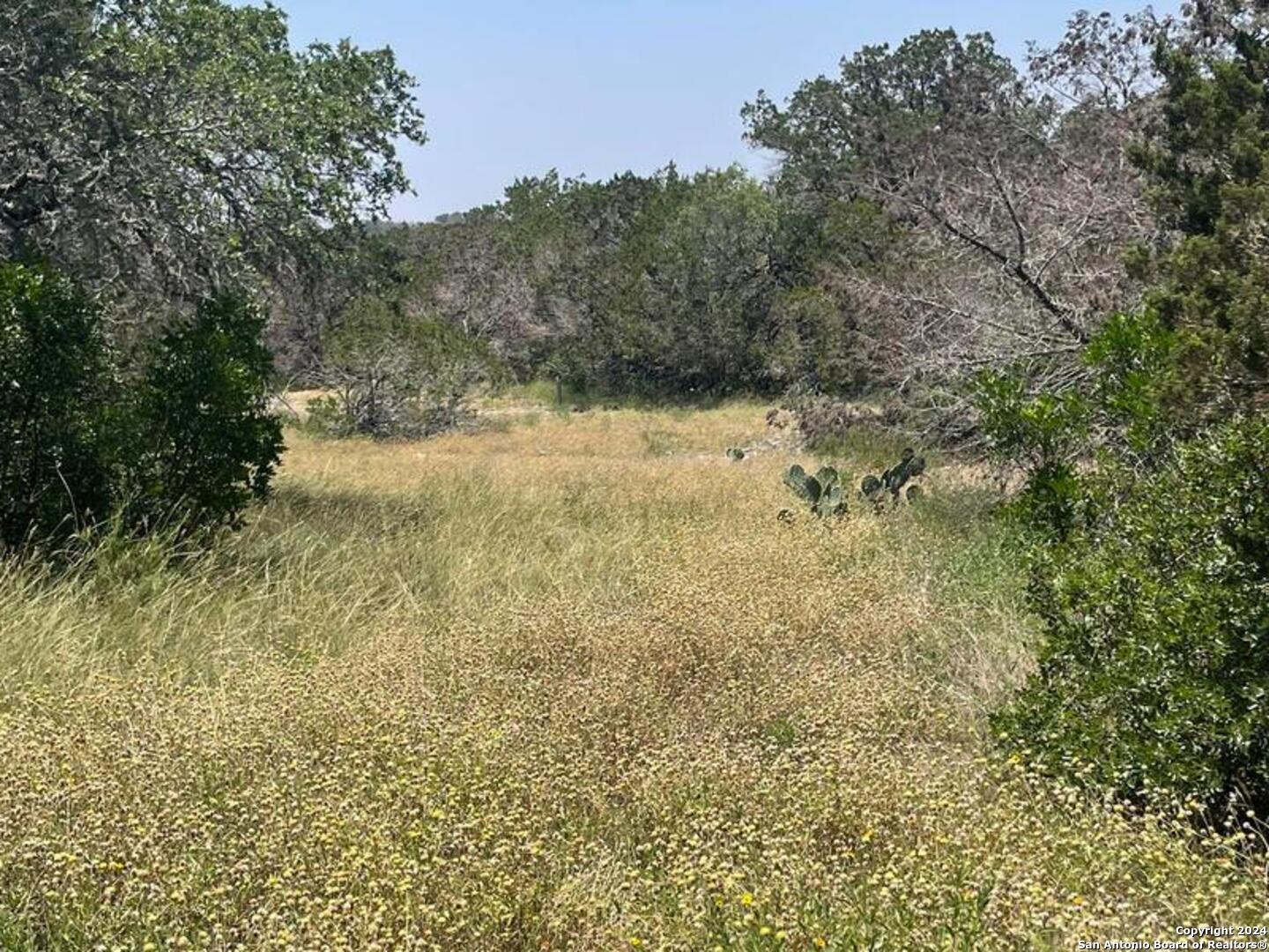 Lot 200 Valley Oaks Ranch Hondo, TX 78861 - Photo 5 of 7 a view of a yard with trees in the background