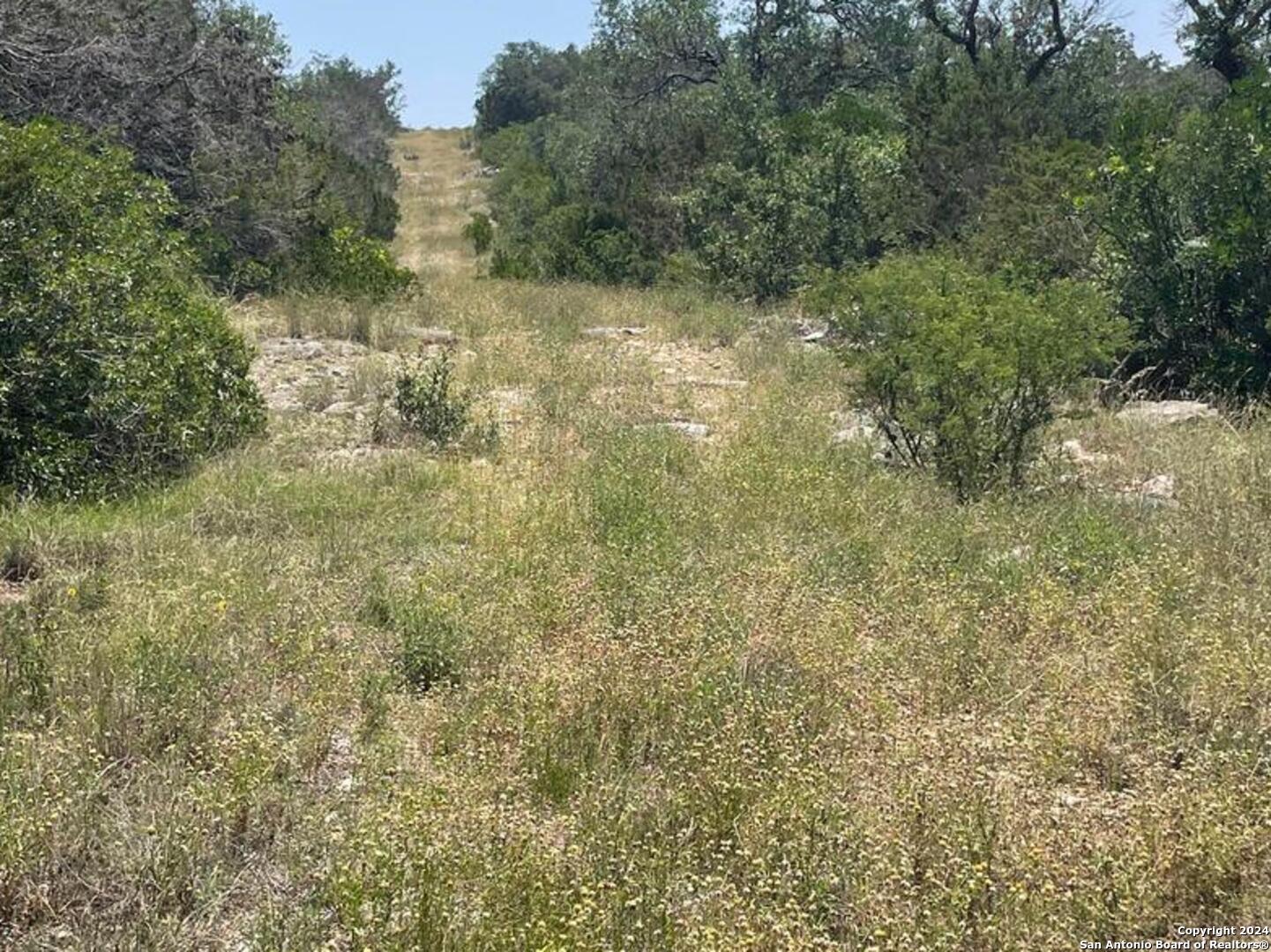Lot 200 Valley Oaks Ranch Hondo, TX 78861 - Photo 6 of 7 a view of a forest with trees in the background