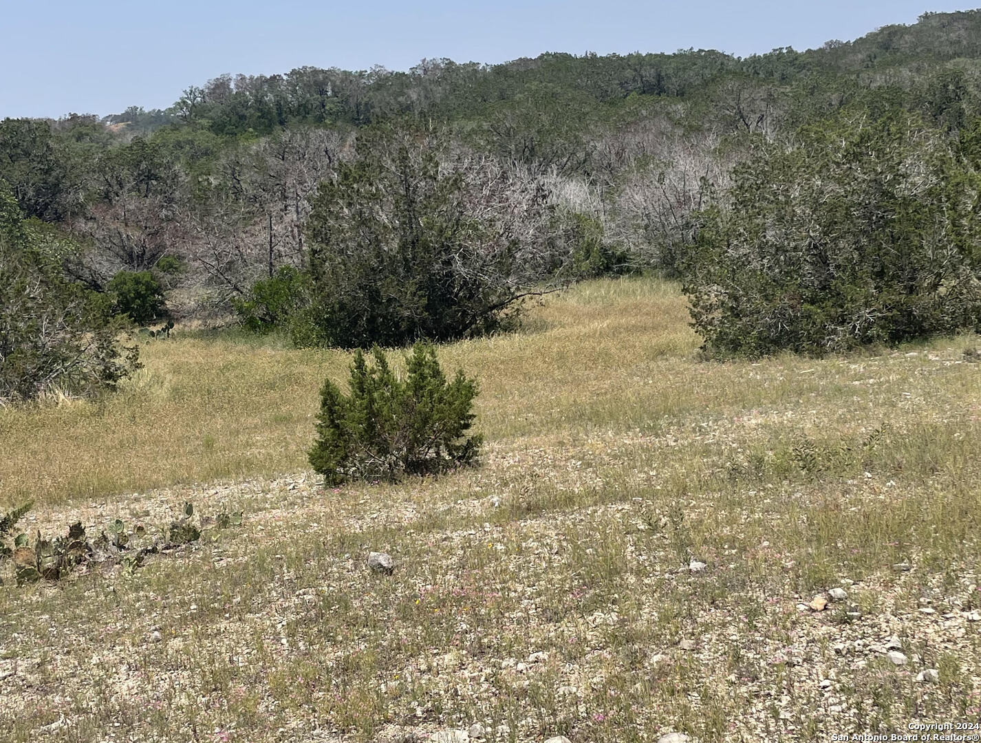 Lot 200 Valley Oaks Ranch Hondo, TX 78861 - Photo 7 of 7 a view of a yard with a tree