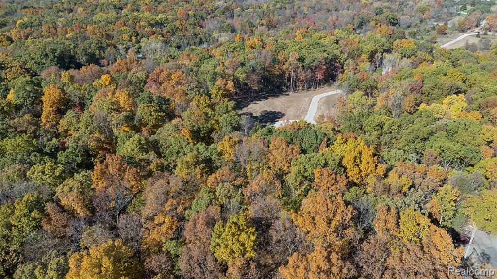 6 Coon Lake Road Howell, MI 48843 - Photo 3 of 5