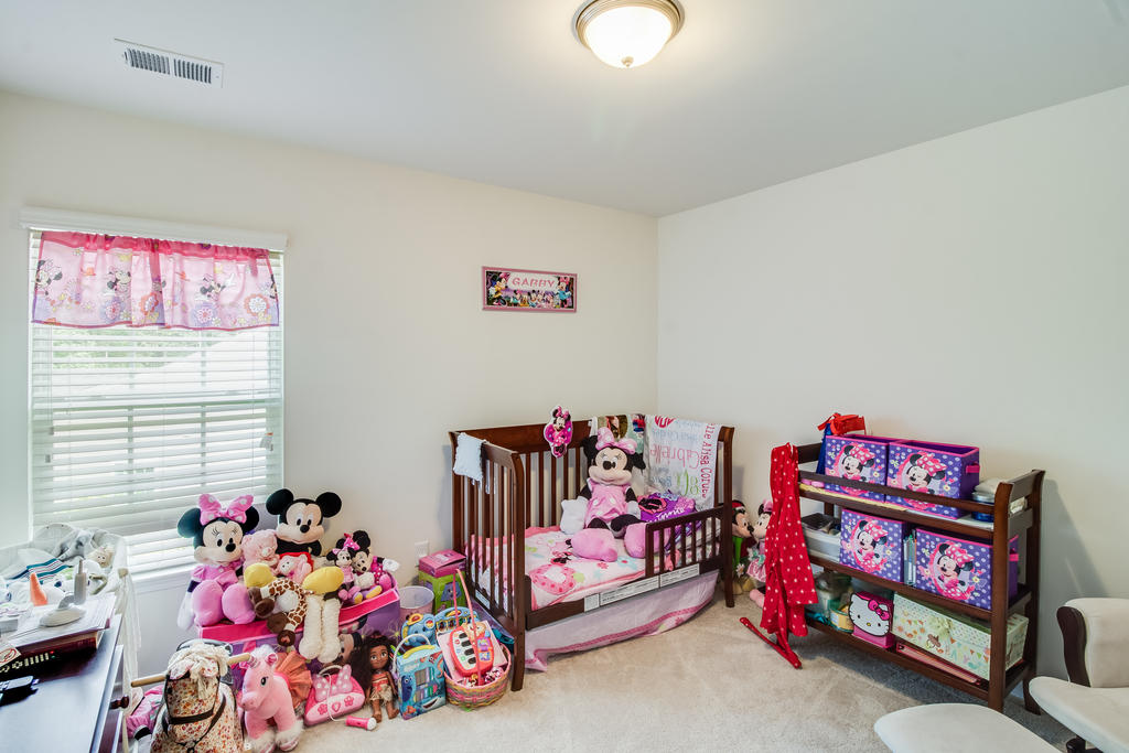3732 Blackjack Road Ladson, SC 29456 - Photo 17 of 24 IMG_9713