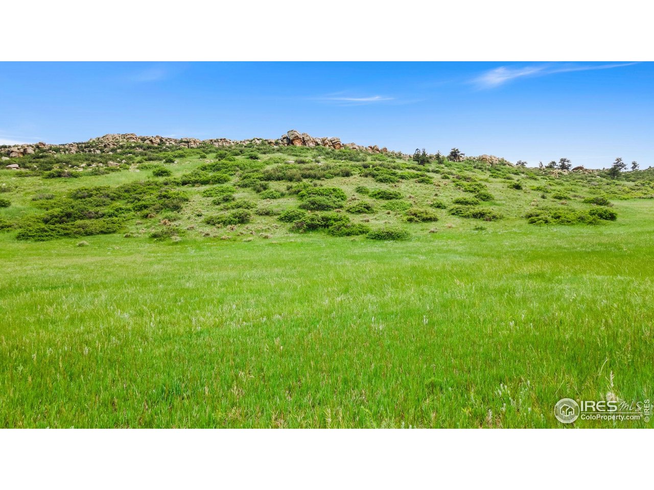 5644 Kiva Ridge Drive Berthoud, CO 80513 - Photo 2 of 11 a black and white photo of a field