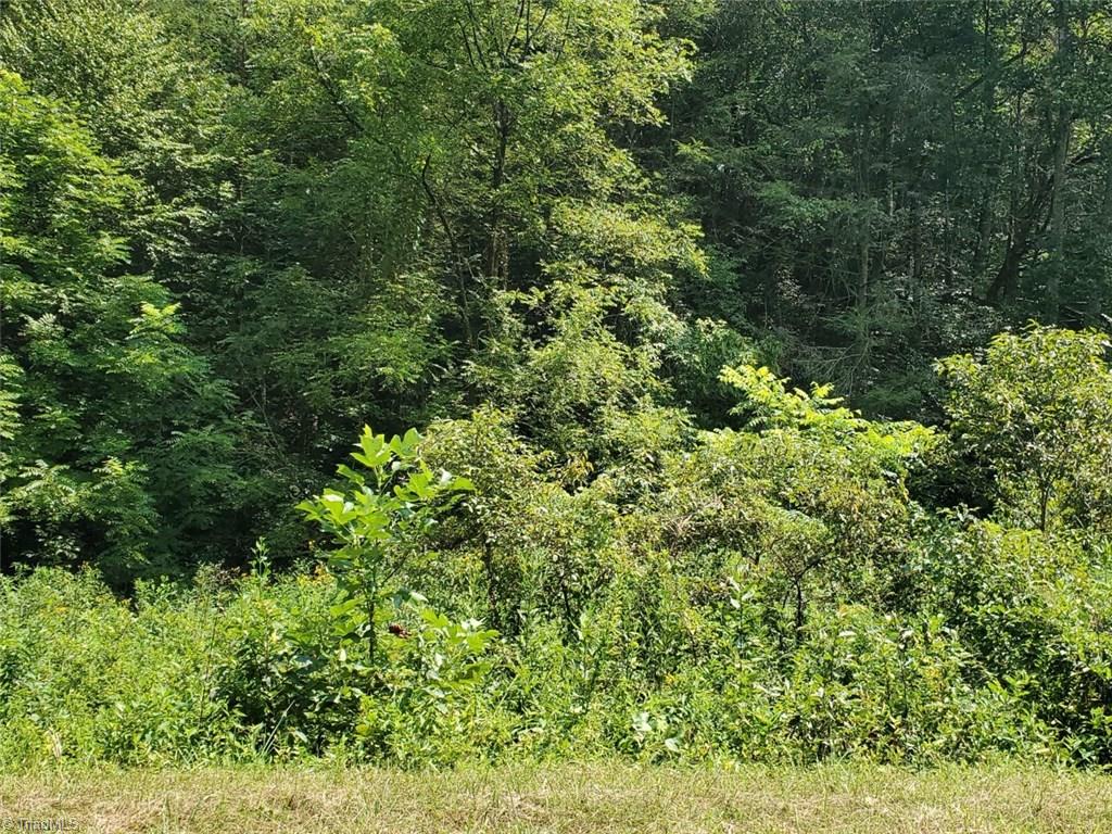 0 Middle Fork Road Hays, NC 28635 - Photo 11 of 14 Gallery Image 11