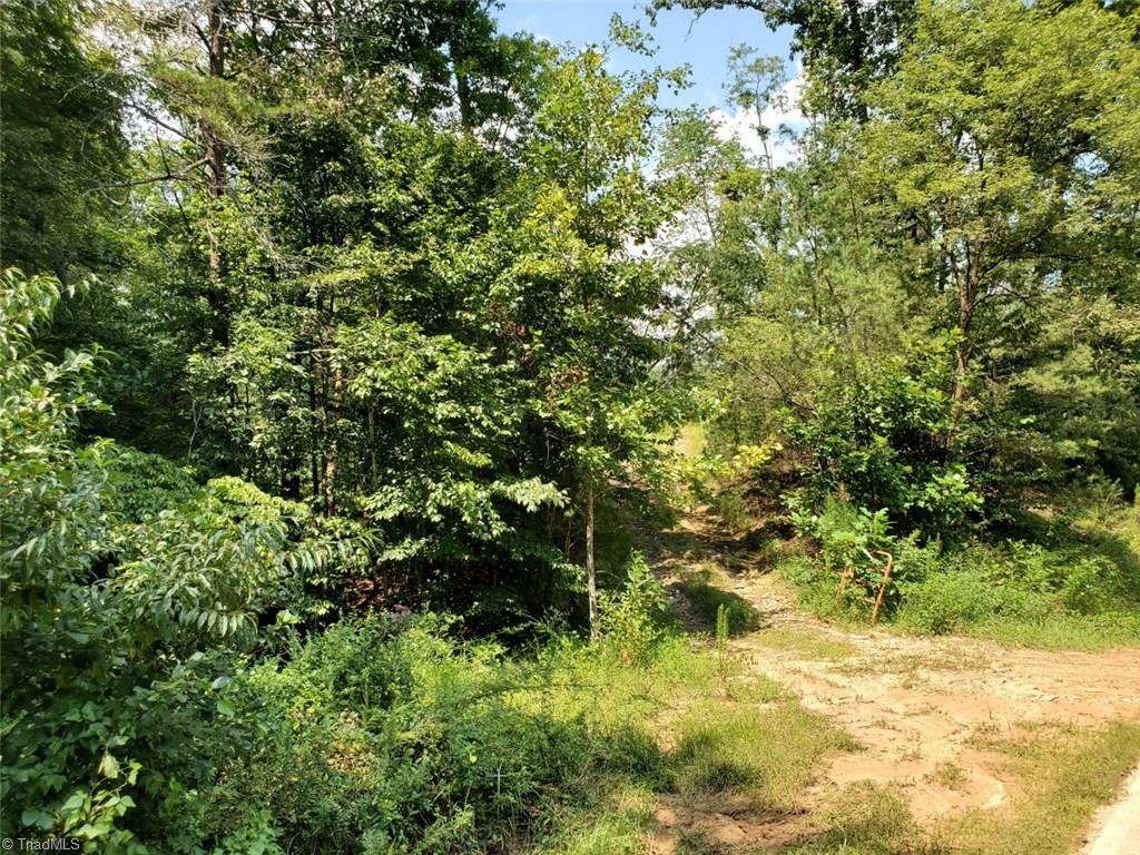 0 Middle Fork Road Hays, NC 28635 - Photo 8 of 14 Gallery Image 8