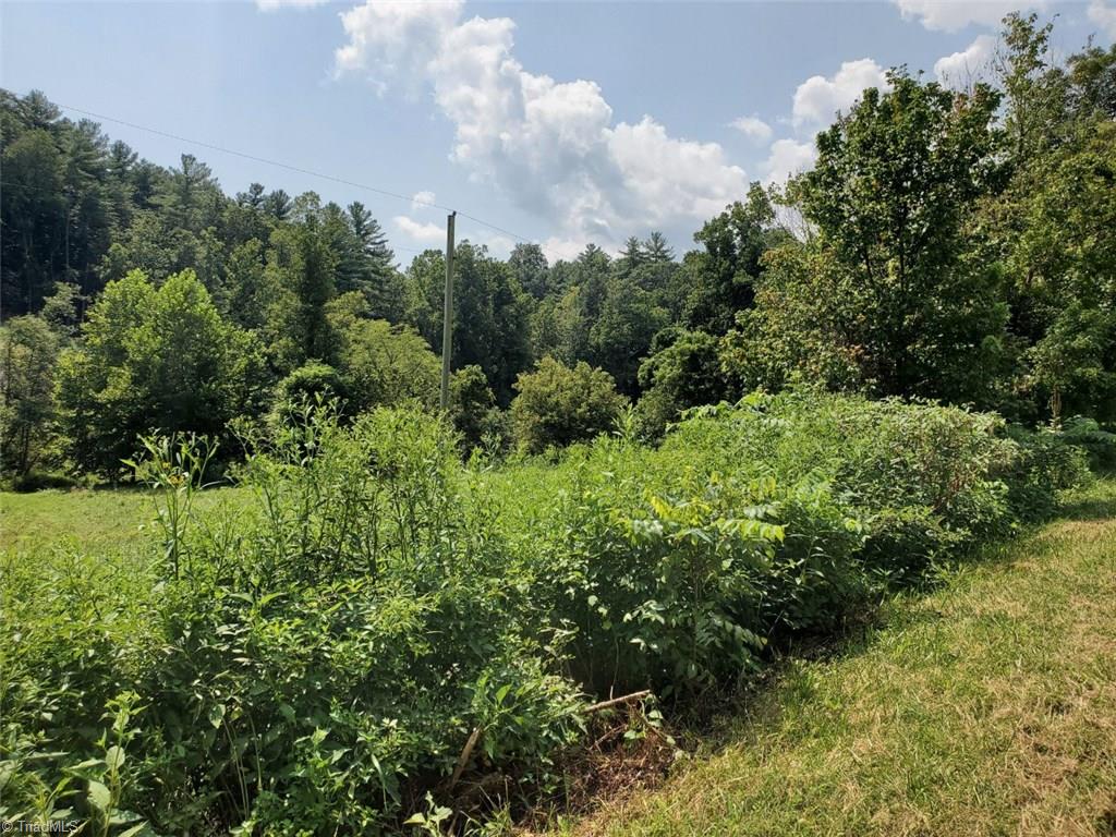 0 Middle Fork Road Hays, NC 28635 - Photo 9 of 14 Gallery Image 9