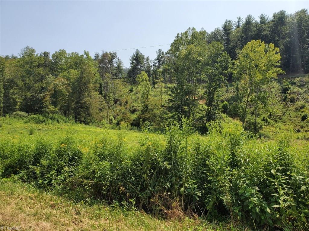 0 Middle Fork Road Hays, NC 28635 - Photo 10 of 14 Gallery Image 10