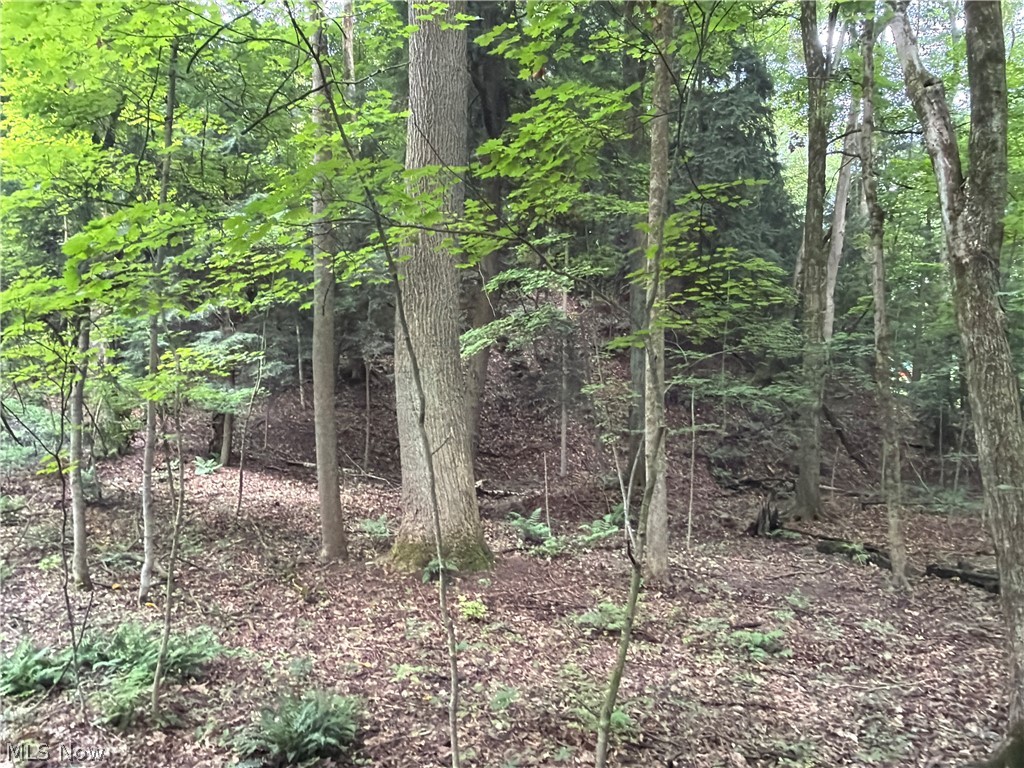 5201 Emerson Road Madison, OH 44057 - Photo 33 of 50