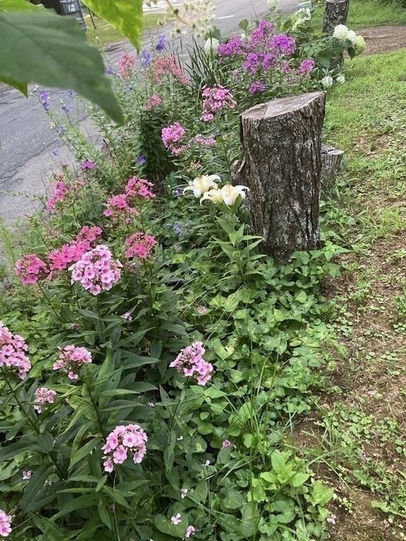 13 Leno Road Holland, MA 01521 - Photo 28 of 39