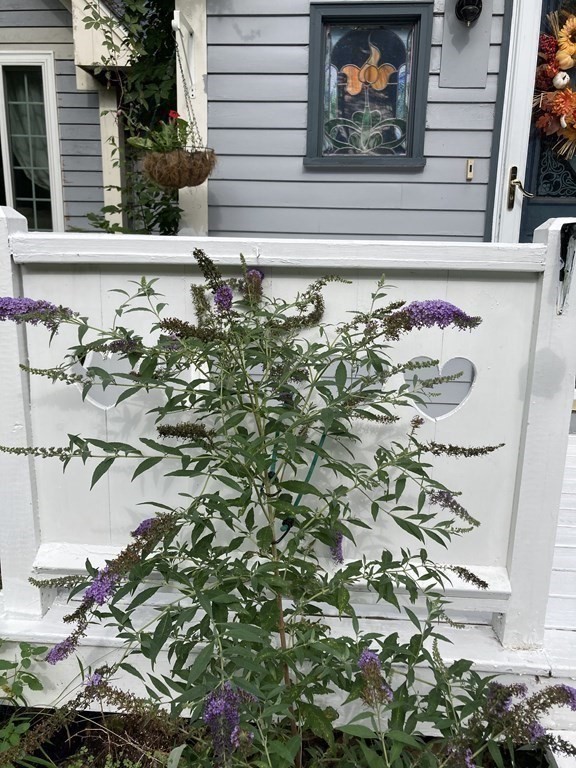13 Leno Road Holland, MA 01521 - Photo 29 of 39