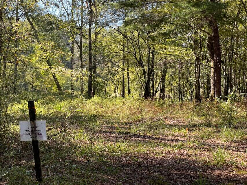 149 Merry Place Ridgeville, SC 29472 - Photo 9 of 20 149 Merry 10