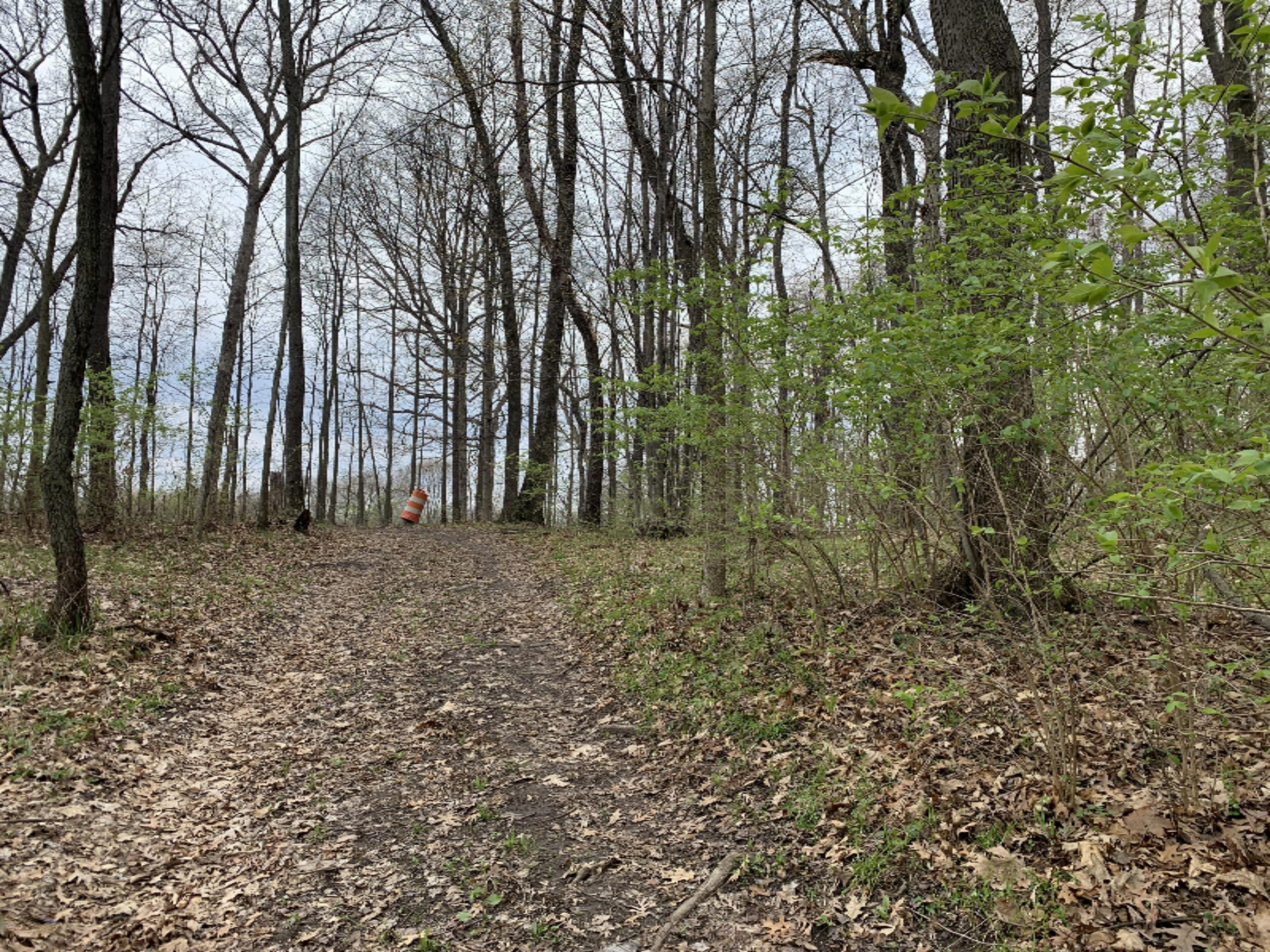0 Beebe Road Niles, MI 49120 - Photo 3 of 7 beebevacantlot