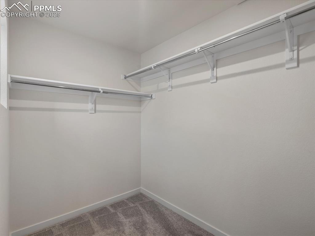 10764 Lewanee Point Colorado Springs, CO 80908 - Photo 16 of 25