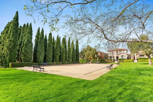 a view of a park with large trees