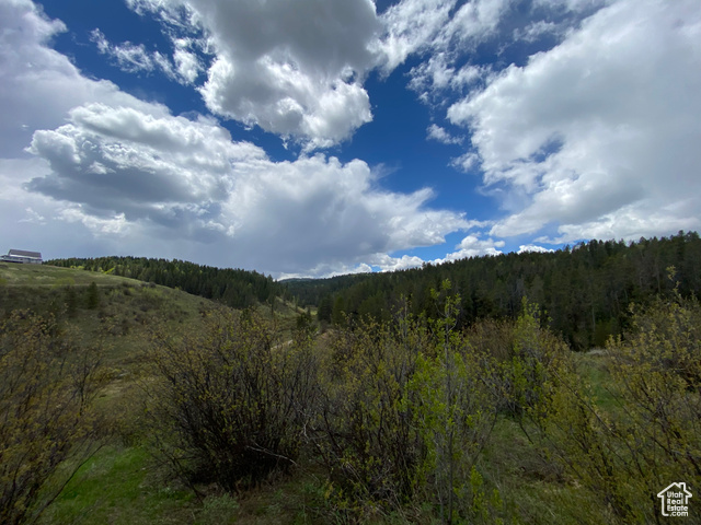 41 Grouse Loop Road, Unit 41 Freedom, WY 83120 - Photo 9 of 33 View of wooded area