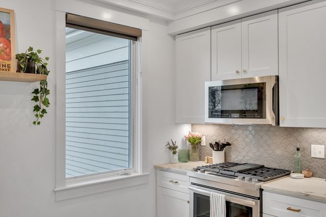 a kitchen with appliances cabinets and a potted plant