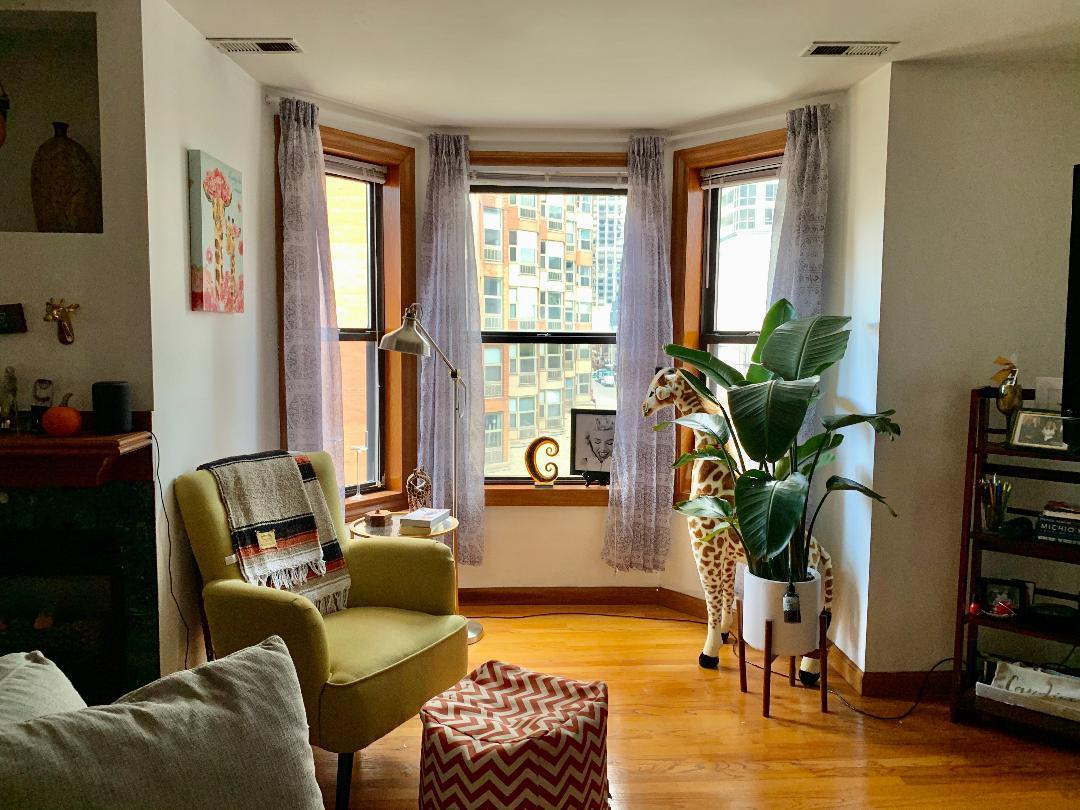 838 North State Street, Unit 2 Chicago, IL 60654 - Photo 2 of 3 a living room with furniture and a potted plant