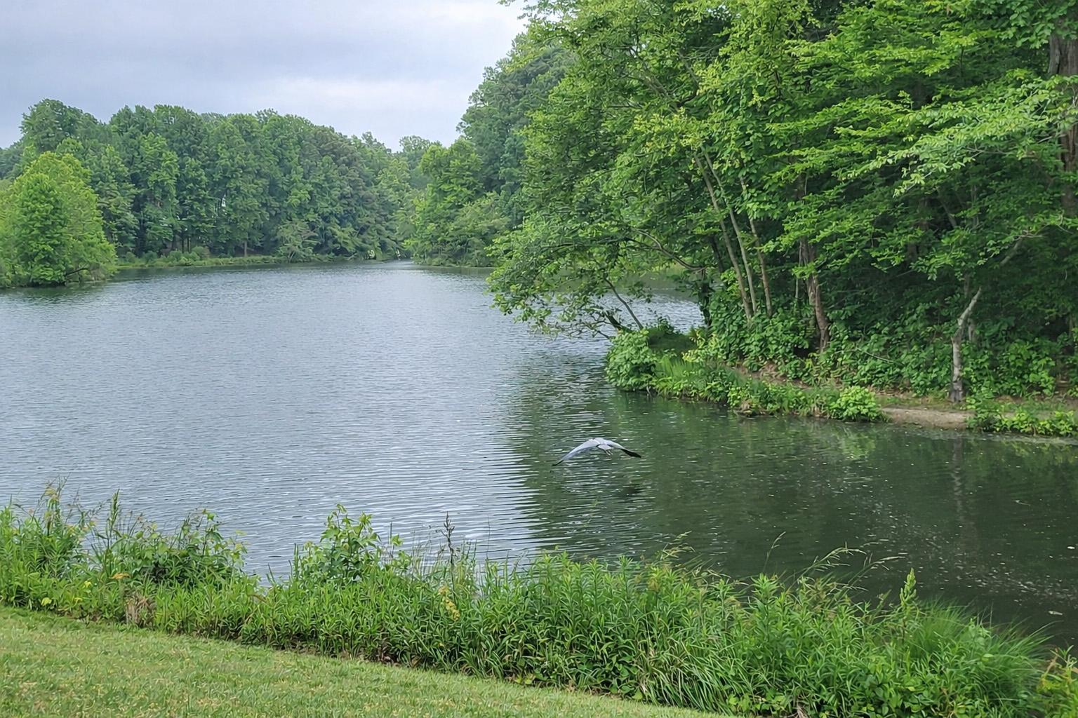 1860 Battery Lane Owings, MD 20736 - Photo 12 of 120 a view of a lake with a house in the background