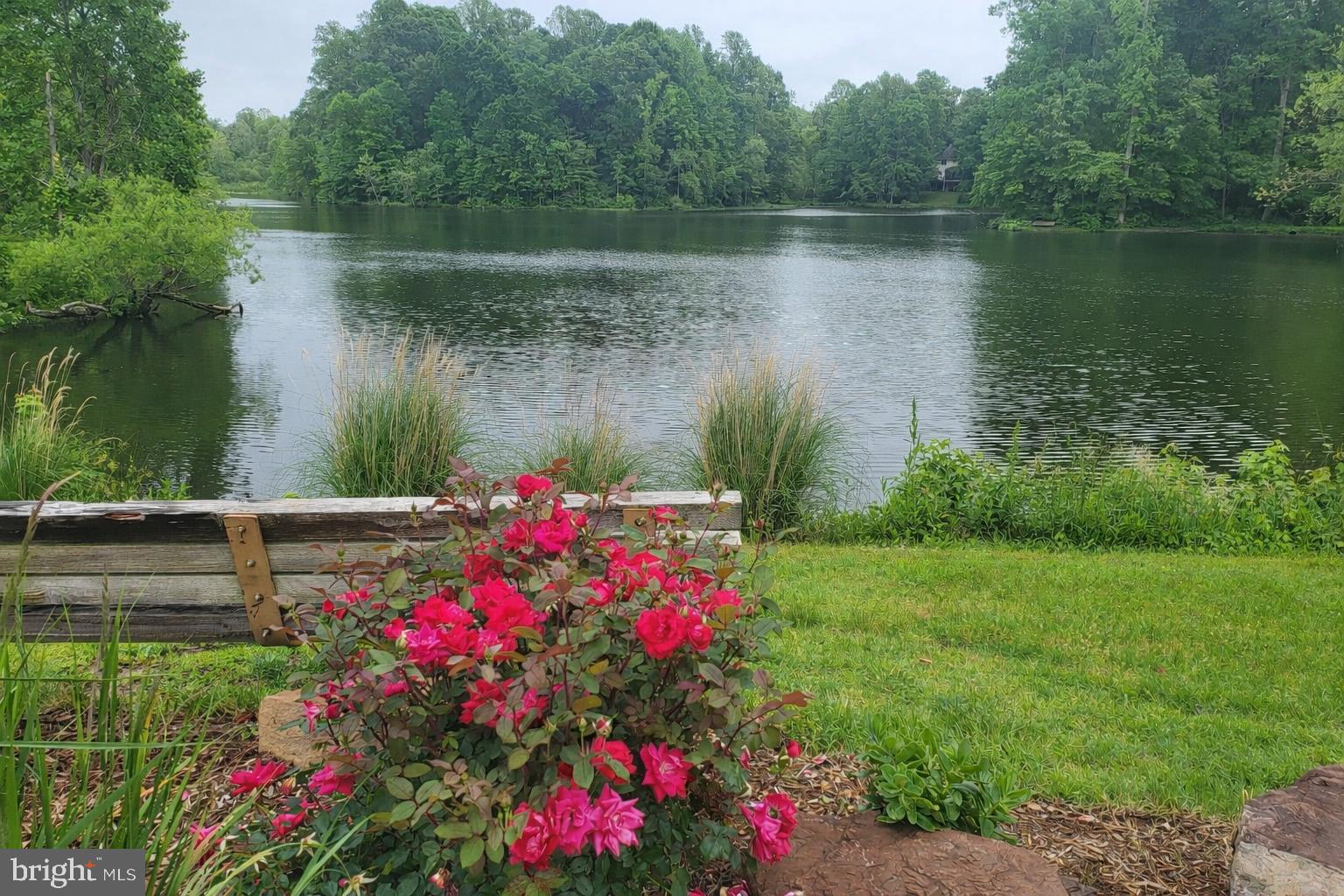 1860 Battery Lane Owings, MD 20736 - Photo 13 of 120 Serene lakeside blooms in spring.