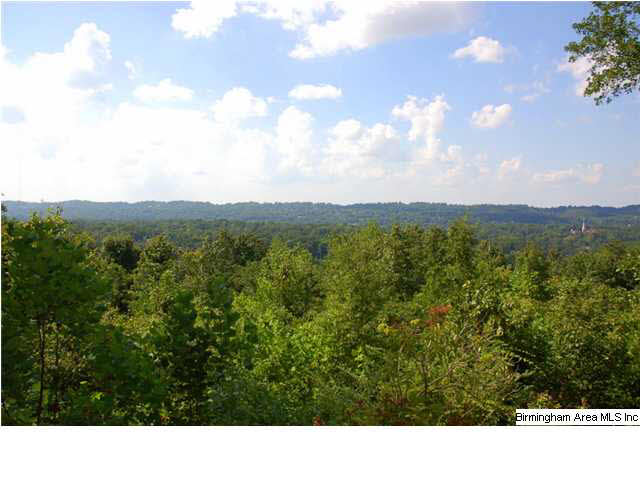 3200 Fernway Road Birmingham, AL 35223 - Photo 18 of 19