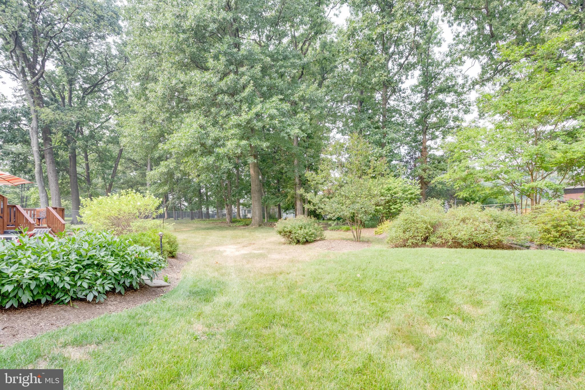 6104 Rivanna Drive Springfield, VA 22150 - Photo 48 of 56 Gallery Image 48