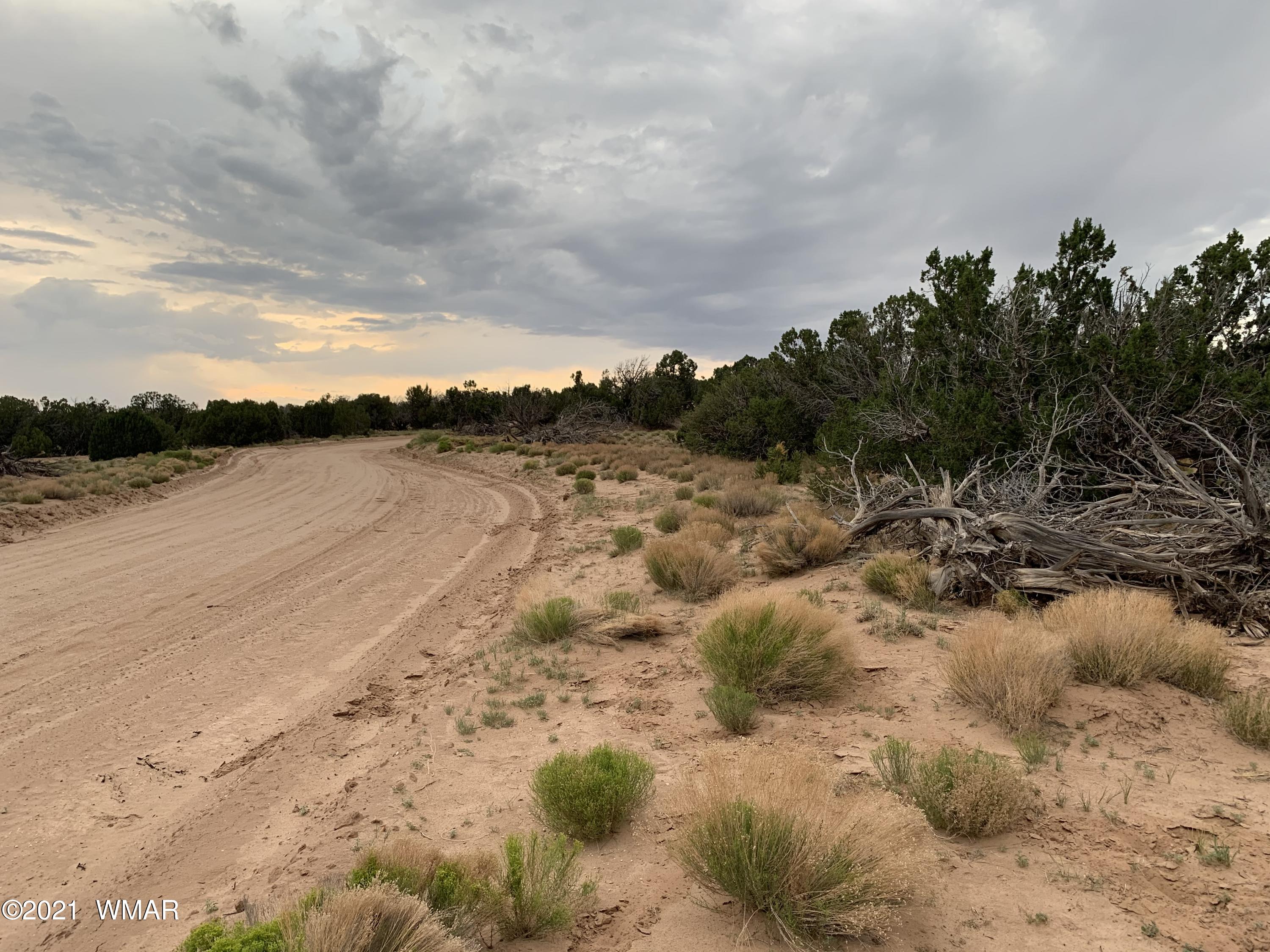 114 Red Sky Ranch St. Johns, AZ 85936 - Photo 1 of 6